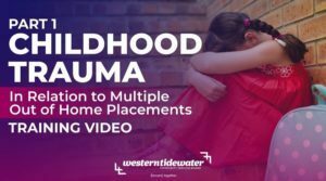 event thumbnail - childhood trauma in relation to multiple home placements training from region five